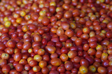 Delicious red tomatoes in Summer tray market agriculture farm full of organic. Fresh tomatoes, It can be used as background