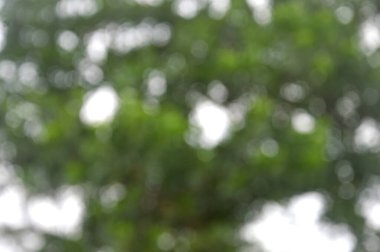 arkaplan bulanıklığı odak değil