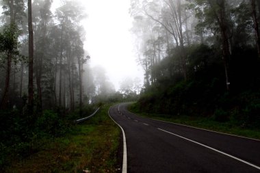 Evocative winding road enveloped in mist, perfect for travel, adventure, or nature themes. Conveying tranquility and the allure of the unknown.