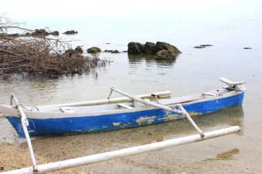 Traditional blue outrigger canoe resting on a sandy shore, calm sea and rocks in background. Peaceful coastal scene.