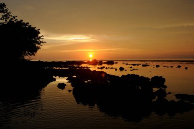 Experience the tranquil beauty of a golden sunset reflecting on the calm sea, with silhouetted rocks and trees.
