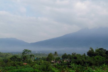 Serene misty valley unfolds at dawn, offering a breathtaking mountain panorama with tranquil, atmospheric beauty.