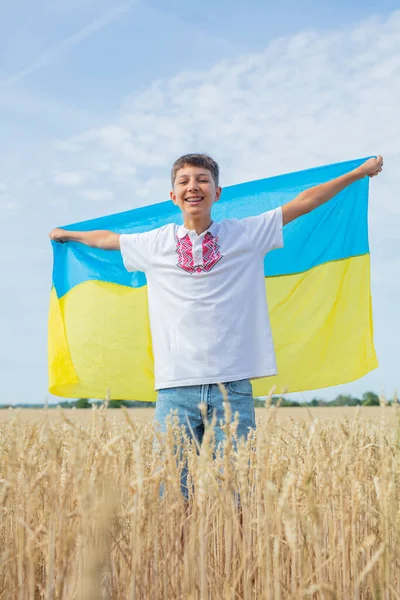 ウクライナのために祈る 小麦畑でウクライナの国旗を持つ子供 小麦畑の背景に手の中に青の大きな旗を持つ民族ウクライナの服で笑顔の少年 愛国教育 ストック写真