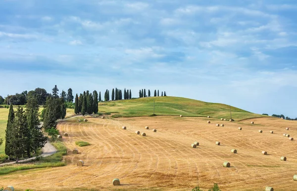 Toscana Kreta Senesi Landsbygdslandskap Landsbygdsgård Cypresser Fält Solljus Och Moln Stockfoto