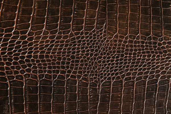 Very Luxurious Brown Crocodile Leather Texture Used Textile Industry Original — Stock Photo, Image