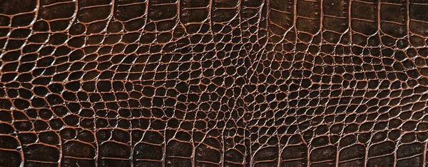 Zeer Luxe Bruine Krokodillenleer Textuur Gebruikt Textielindustrie Originele Huid — Stockfoto