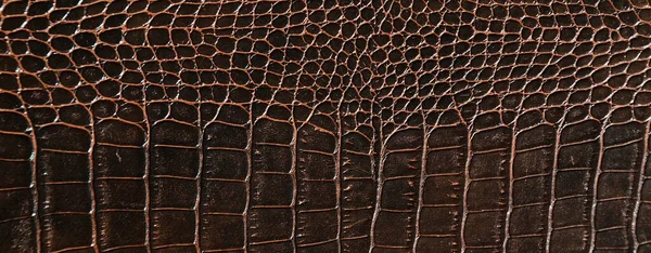 Bardzo Luksusowa Brązowa Skóra Krokodylowa Stosowana Przemyśle Tekstylnym Oryginalna Skóra — Zdjęcie stockowe
