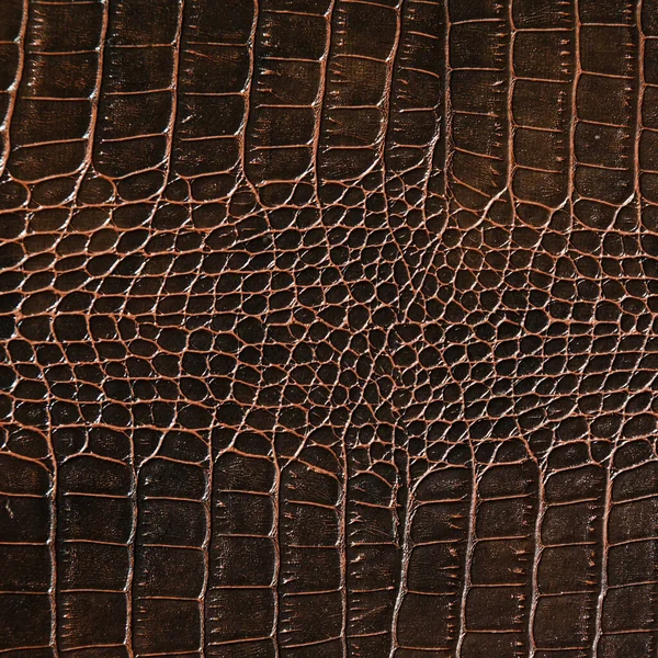Nagyon Fényűző Barna Krokodilbőr Textúra Használt Textiliparban Eredeti Bőr — Stock Fotó