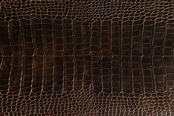 Velmi Luxusní Textura Krokodýlí Kůže Používaná Textilním Průmyslu Původní Kůže — Stock fotografie