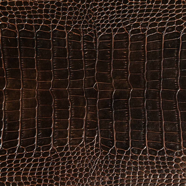 Textura Piel Cocodrilo Marrón Muy Lujosa Utilizada Industria Textil Piel — Foto de Stock