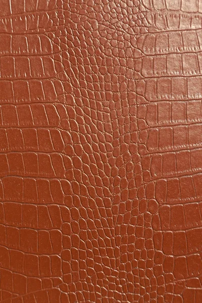 繊維産業で使用される非常に豪華な茶色のワニ革のテクスチャ 元の肌 — ストック写真