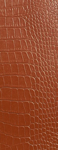 Textura Piel Cocodrilo Marrón Muy Lujosa Utilizada Industria Textil Piel — Foto de Stock
