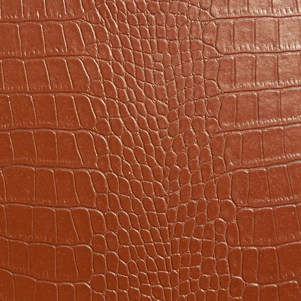 纺织工业中使用的非常豪华的褐色鳄鱼皮革质感 — 图库照片