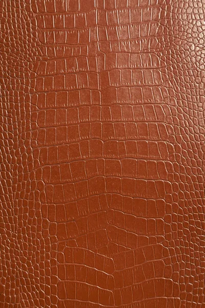Texture Cuir Crocodile Très Luxueuse Utilisée Dans Industrie Textile Peau — Photo