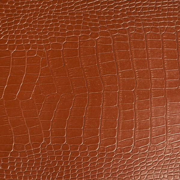 Textura Couro Crocodilo Marrom Muito Luxuoso Usado Indústria Têxtil Pele — Fotografia de Stock