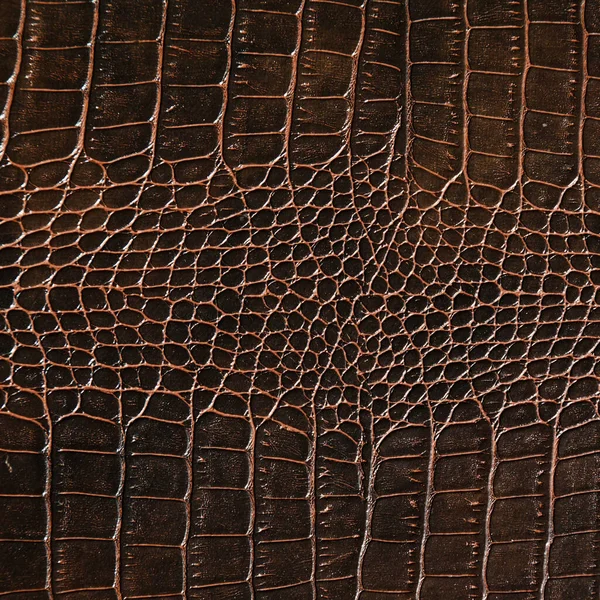 Very Luxurious Brown Crocodile Leather Texture Used Textile Industry Original Royalty Free Stock Photos