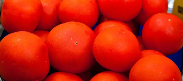 新鲜美味的西红柿 所有的有机西红柿 新鲜的红色有机西红柿 在厨房桌子上 — 图库照片