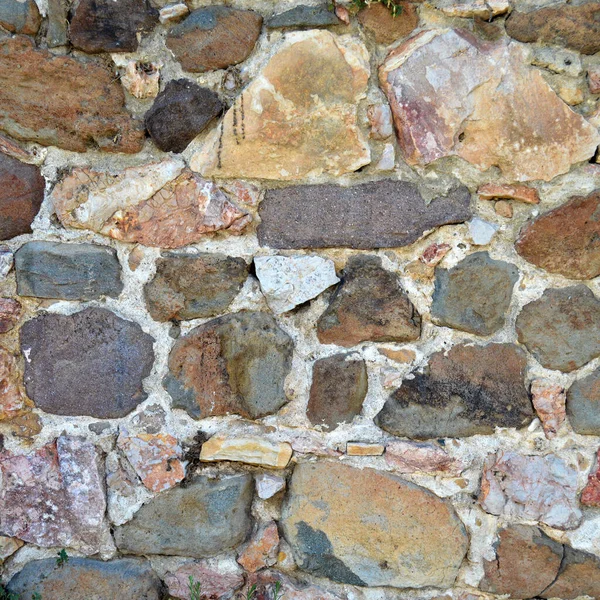 Sturdy Beige Purple Cut Stone Wall Good Backgrounds Seamless Line — стоковое фото