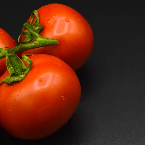 Frisch Geschmackvolle Tomaten Alle Bio Tomaten Frische Rote Bio Tomaten — Stockfoto