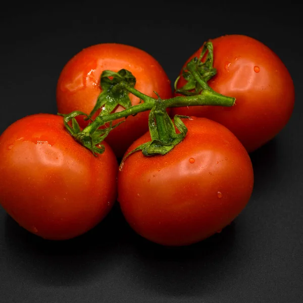 Frisch Geschmackvolle Tomaten Alle Bio Tomaten Frische Rote Bio Tomaten — Stockfoto