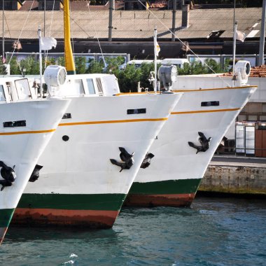 Beyaz yolcu gemisi feribotu, yolcu taşıyor, Sirkeci İstanbul Türkiye