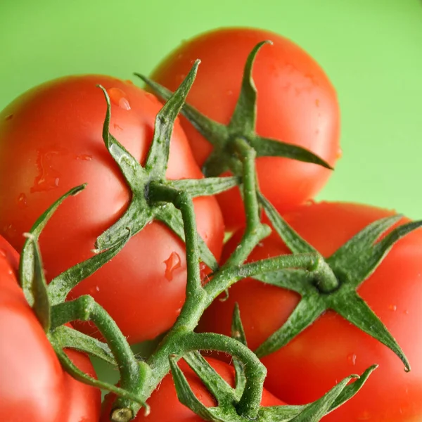 Vers Smakelijk Tomaat Alle Biologische Tomaat Verse Biologische Tomaat Geïsoleerd — Stockfoto
