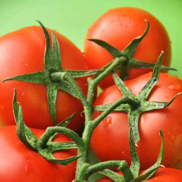 Vers Smakelijk Tomaat Alle Biologische Tomaat Verse Biologische Tomaat Geïsoleerd — Stockfoto