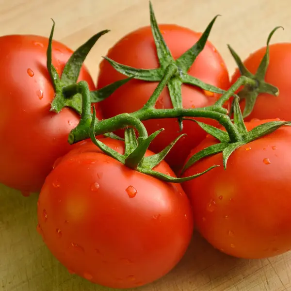 Färsk Välsmakande Tomat All Ekologisk Tomat Färsk Ekologisk Tomat Skärbräda — Stockfoto