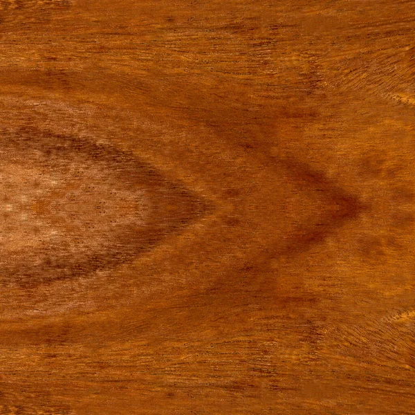 Σύνθεση Κόκκου Ξύλου Ξύλο Mahogany Μπορεί Χρησιμοποιηθεί Φόντο Φόντο Μοτίβο — Φωτογραφία Αρχείου