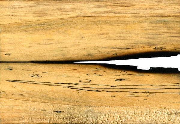 木目の質感 バーンホーンビーム木材 パターンの背景として使用することができます — ストック写真