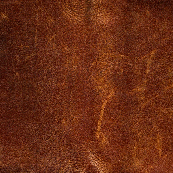 Genuine Cowhide Texture Close Useful Background Any Design Work — Stock Photo, Image