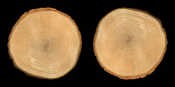 木の木目の質感 オーク材の丸太 黒い背景に隔離された ストック写真