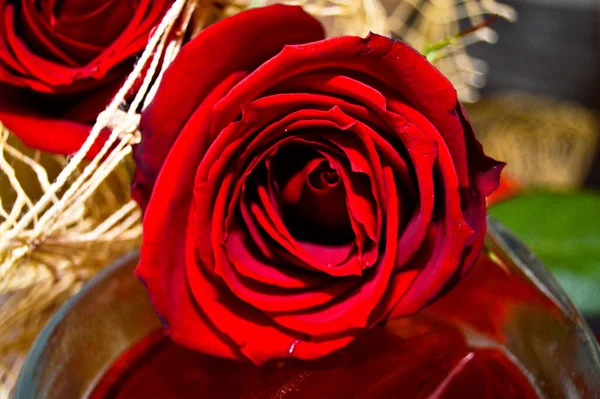 Bouquet Rosa Rossa Con Foglie Verdi Accuratamente Preparate Fidanzamento Matrimonio — Foto Stock