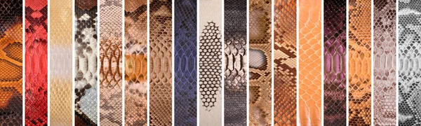 Peau Serpent Naturelle Différentes Couleurs Vêtements Luxe Accessoires Adaptés Collage — Photo