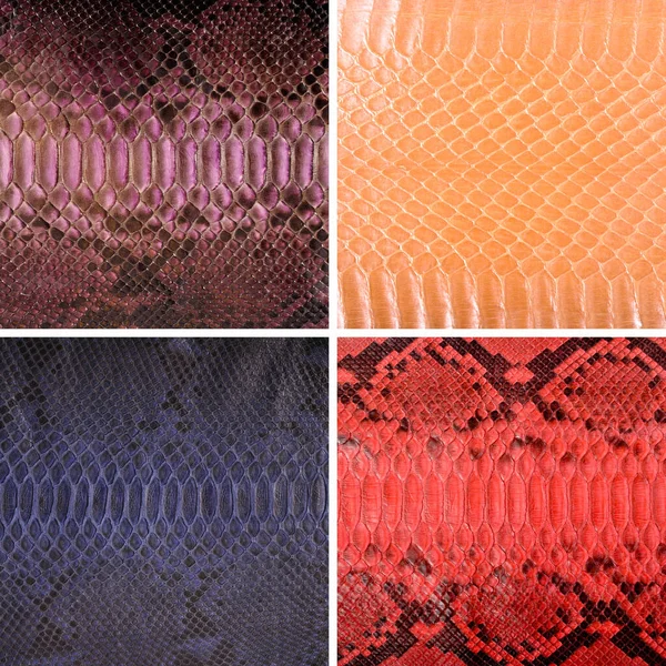 Pelle Serpente Naturale Vari Colori Abbigliamento Lusso Accessori Adatti Collage — Foto Stock