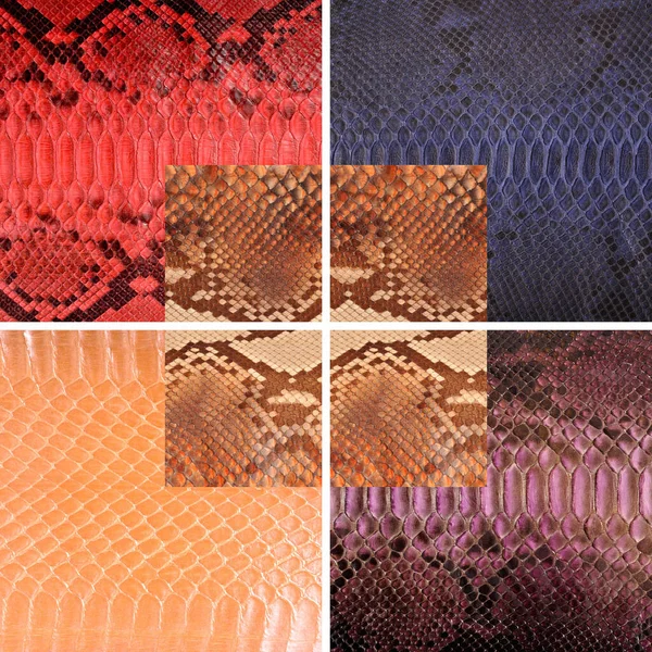 Přírodní Hadí Kůže Různých Barvách Luxusní Oblečení Doplňky Vhodné Pro — Stock fotografie