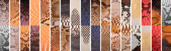 Peau Serpent Naturelle Différentes Couleurs Vêtements Luxe Accessoires Adaptés Collage — Photo