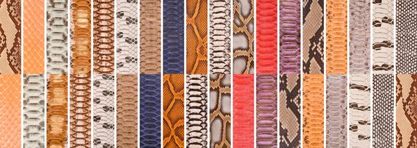 Piel Serpiente Natural Varios Colores Ropa Lujo Accesorios Adecuados Para — Foto de Stock