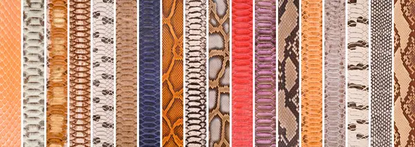 Piel Serpiente Natural Varios Colores Ropa Lujo Accesorios Adecuados Para — Foto de Stock