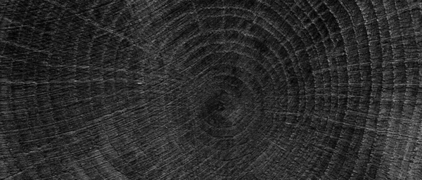 Černé Dřevo Obilí Textura Černé Dřevo Klády Izolované Černém Pozadí — Stock fotografie