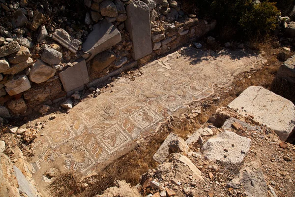 Mosaic Remains Floor Standard House Ancient City Knidos One Oldest — Photo