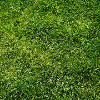 Yeşil çimen doğa arka planı, bitkinin doğal dokusu yakın plan, yeşil çimen deseni ve doku arka plan