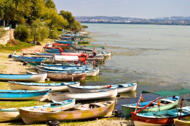 Türkiye 'nin Bursa kentinde Ulubat veya Uluabat Gölü' nde tahtadan balıkçı tekneleri bekliyor, Eylül 08 2020