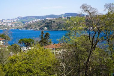 Ağaçtaki Boğaz manzarası Emirgan koruluğu, İstanbul Türkiye Emirliği, 08 Nisan 2024