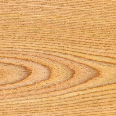 Meşe ağacı tahıl dokusu. Meşe ağacı, arka plan olarak kullanılabilir, şablon arka plan