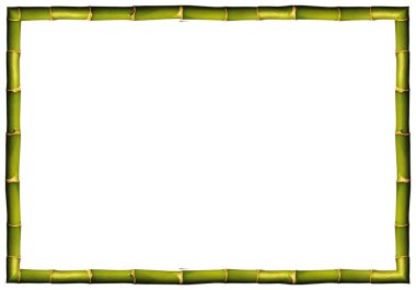 Kare boş ahşap ve yeşil bambu çerçeve, beyaz arka planda izole