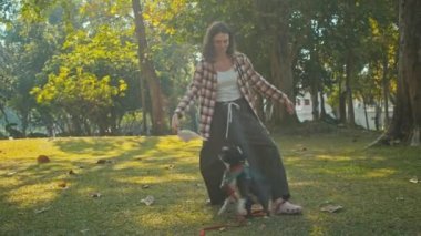 Young woman plays with her Boston Terrier at sunset in park in slow motion