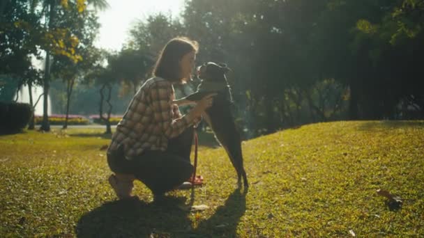 Young Woman Plays Her Boston Terrier Sunset Park Slow Motion — Stock Video