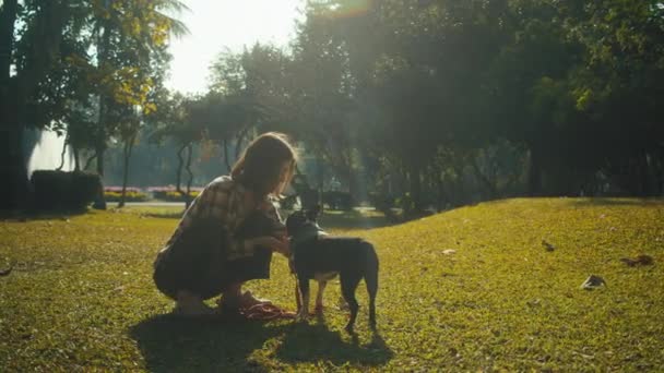 Young Woman Plays Her Boston Terrier Sunset Park Slow Motion — Vídeo de Stock