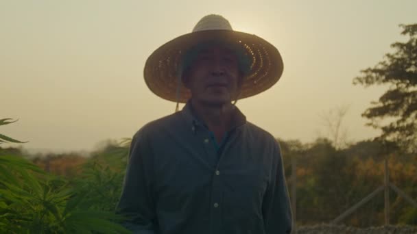 Images Ralenti Agriculteur Portant Chapeau Des Gants Vérifiant Les Plants — Video